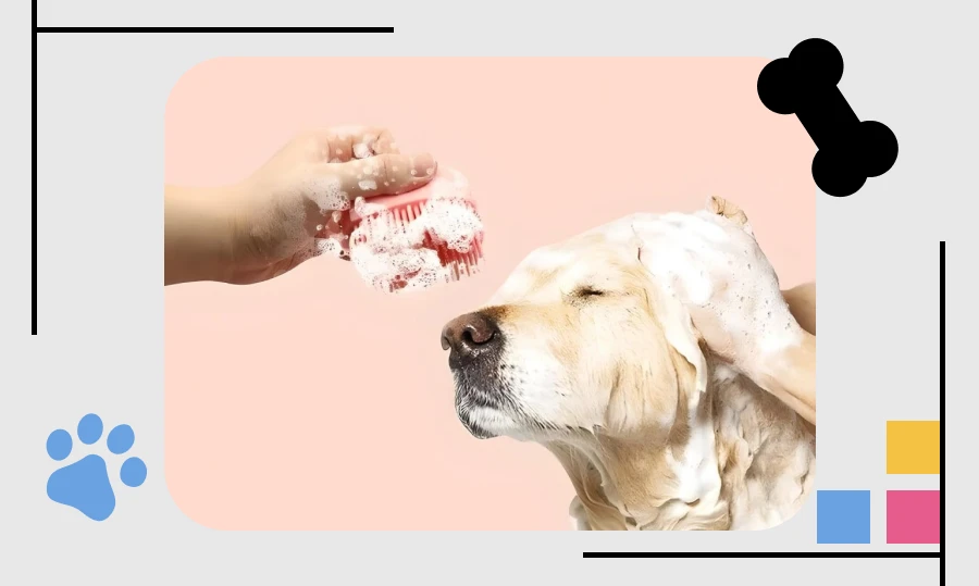 pet shampoo brush