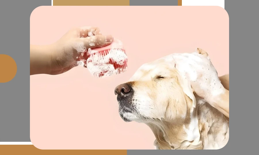 pet bath brush