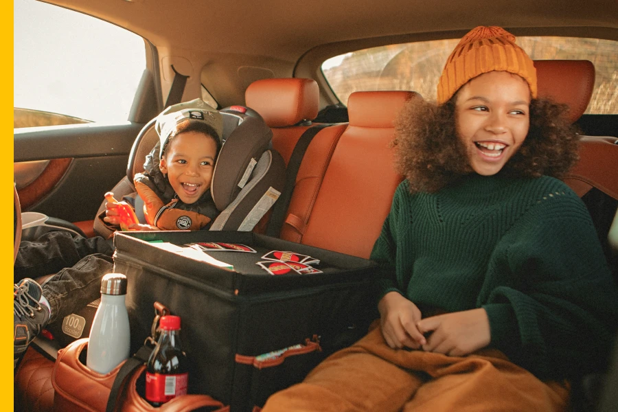 truck backseat organizer