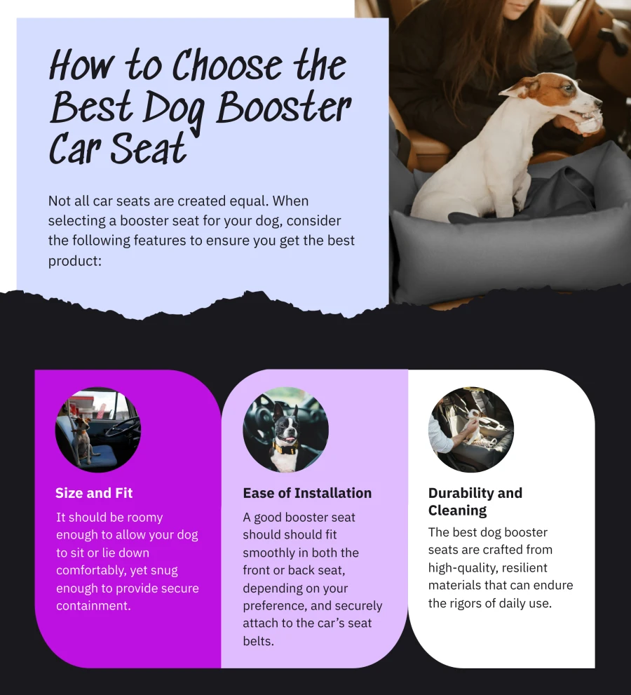 booster car seat for dogs