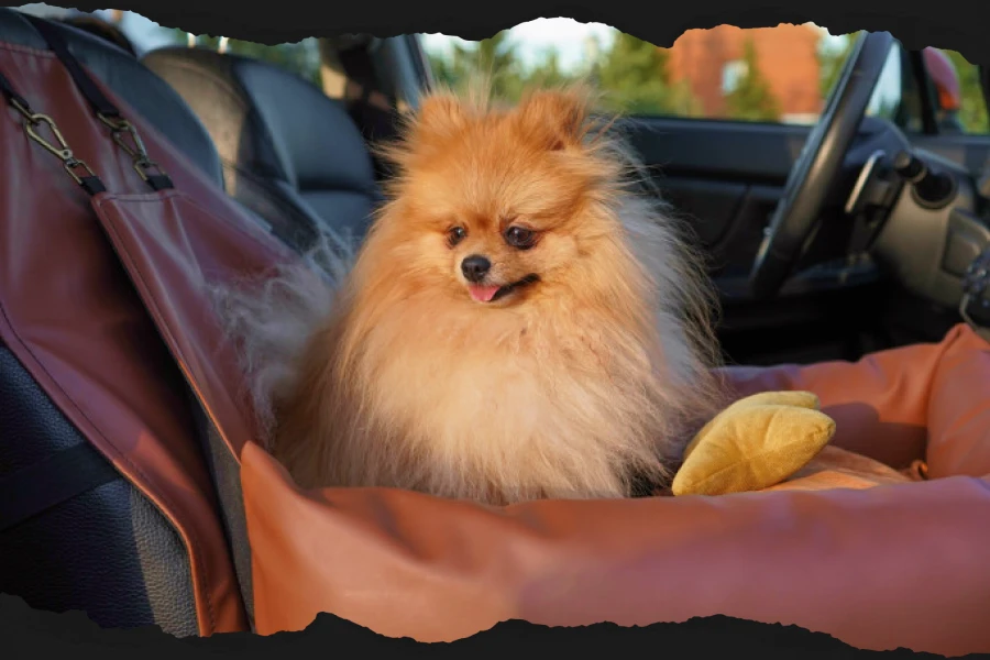 booster car seat for dogs