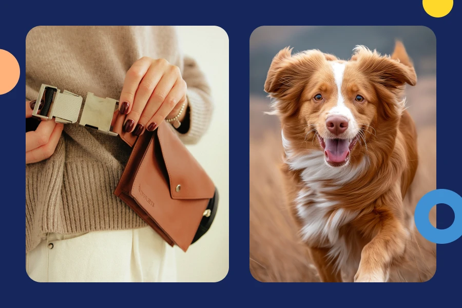 Dog Treat Bag For Walks