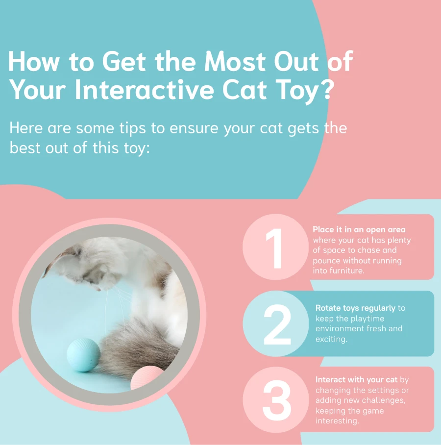 interactive cat toy