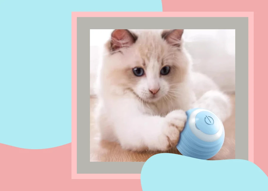 interactive cat toy